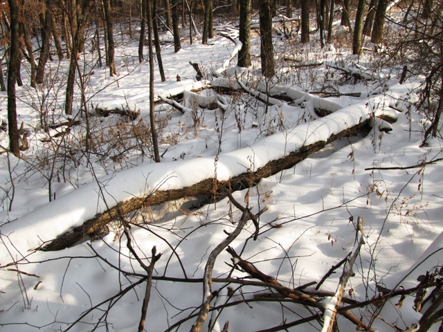 browncounty2010a.JPG