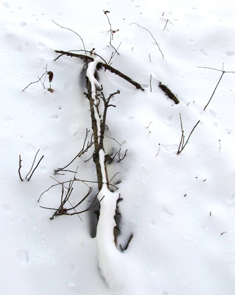 browncounty2010b.JPG