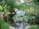 corpus-christi-gardensart.jpg