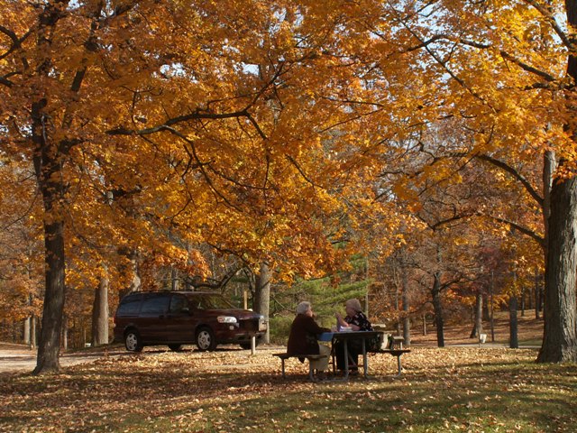 fall-picnicinpark.JPG