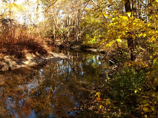 fall09small7.JPG