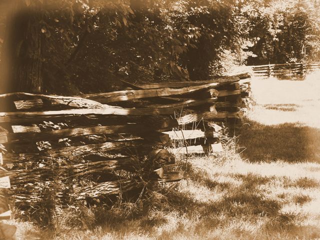 fencebwsmall.jpg