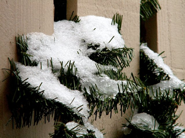 firstsnow08.JPG