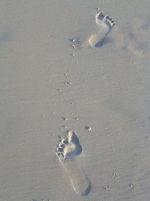 footstepsinsand.JPG