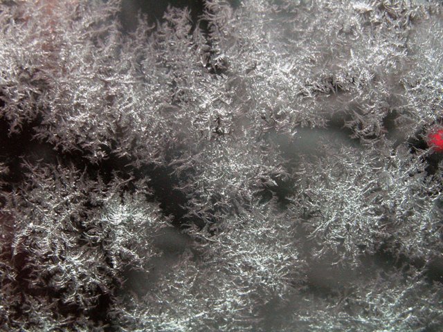 frostedwindow.JPG