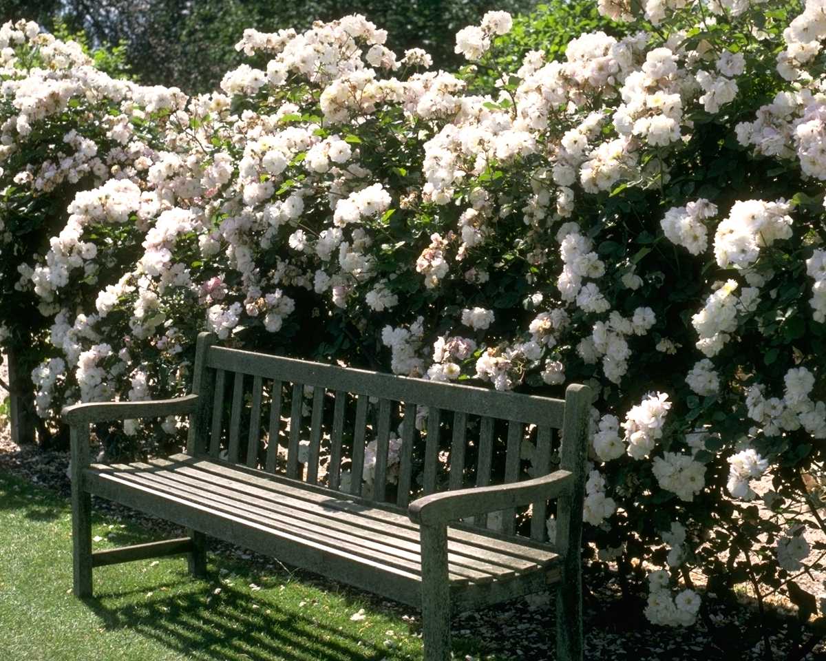 garden-01.jpg