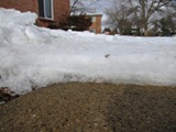 icysidewalk.JPG