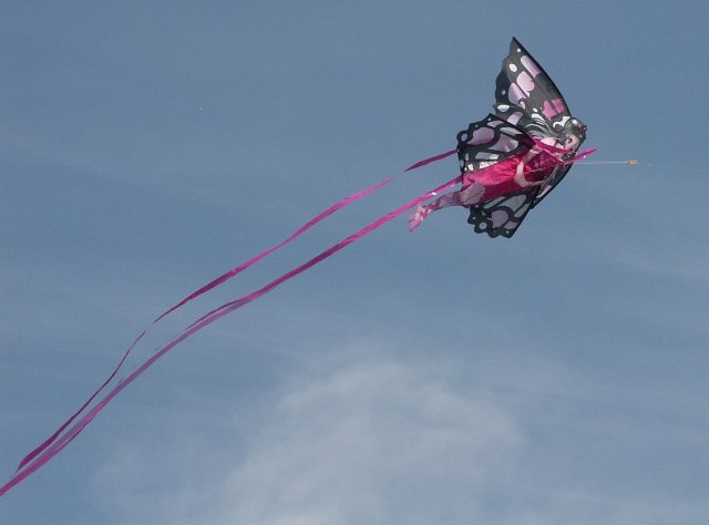 kite.JPG