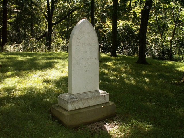 milestones-pic.JPG