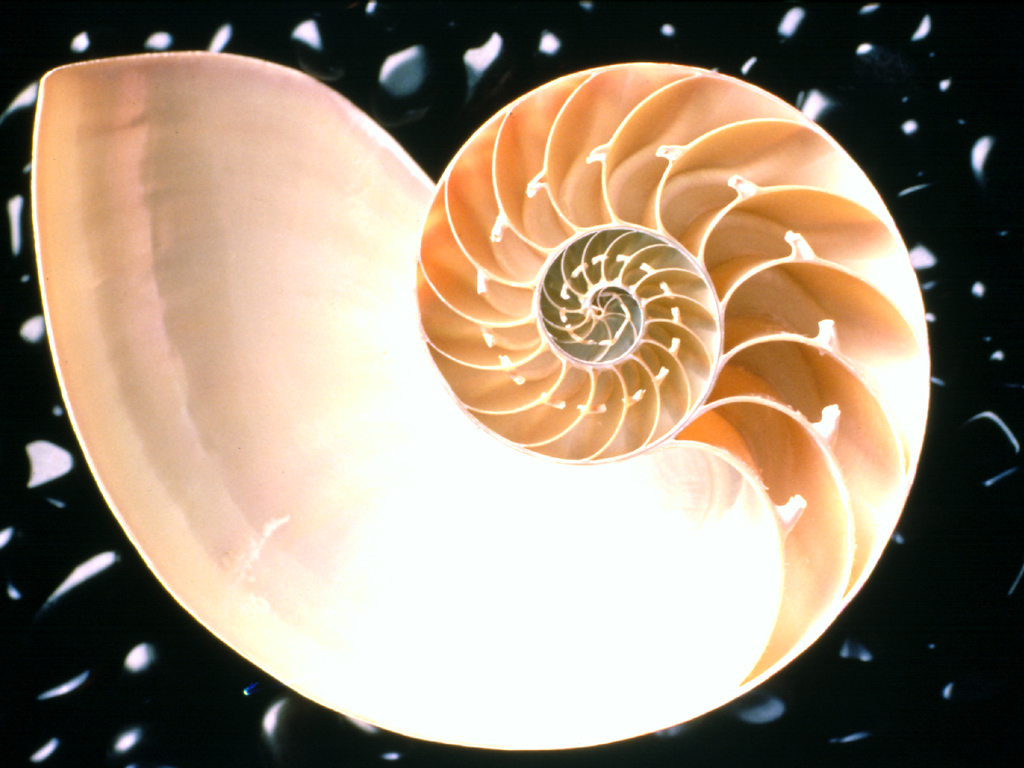 misc-016.jpg