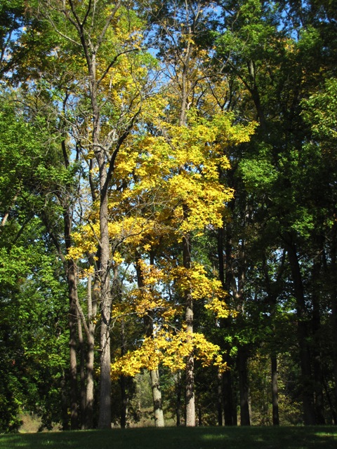 mississenewatag.JPG