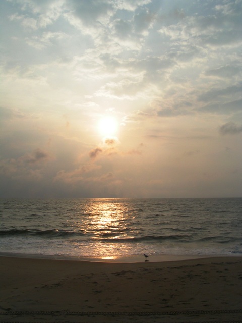 morningsun.JPG