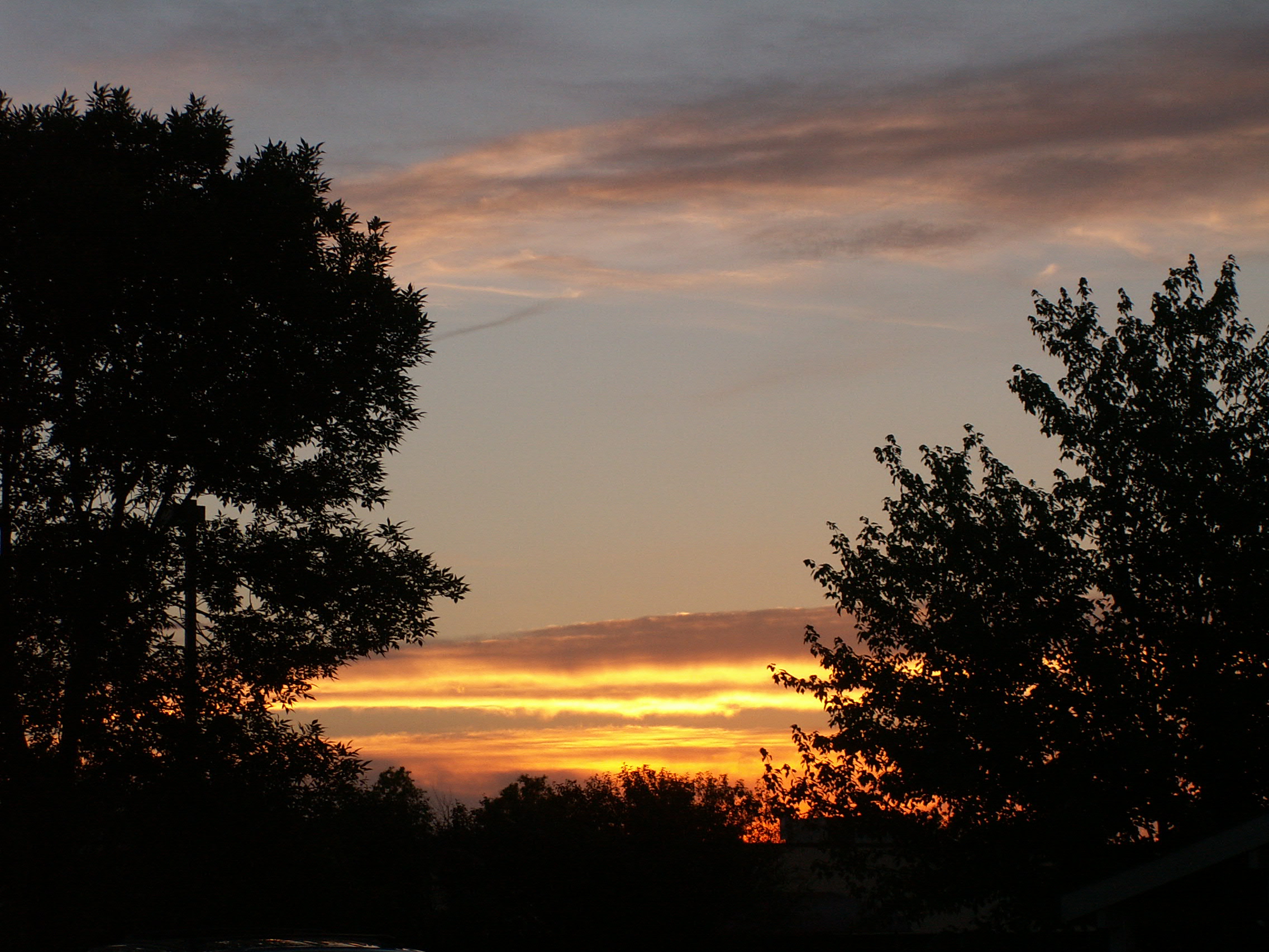 pict0893.JPG