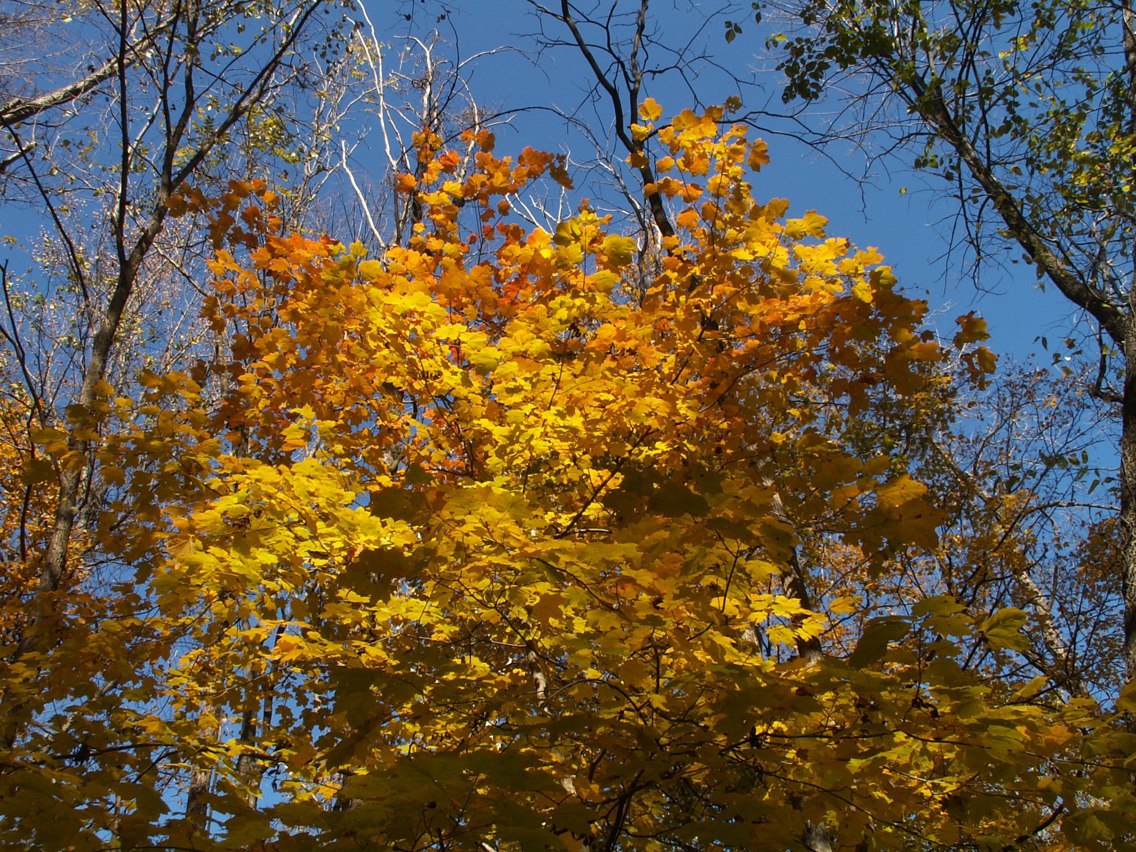 pict2561.JPG