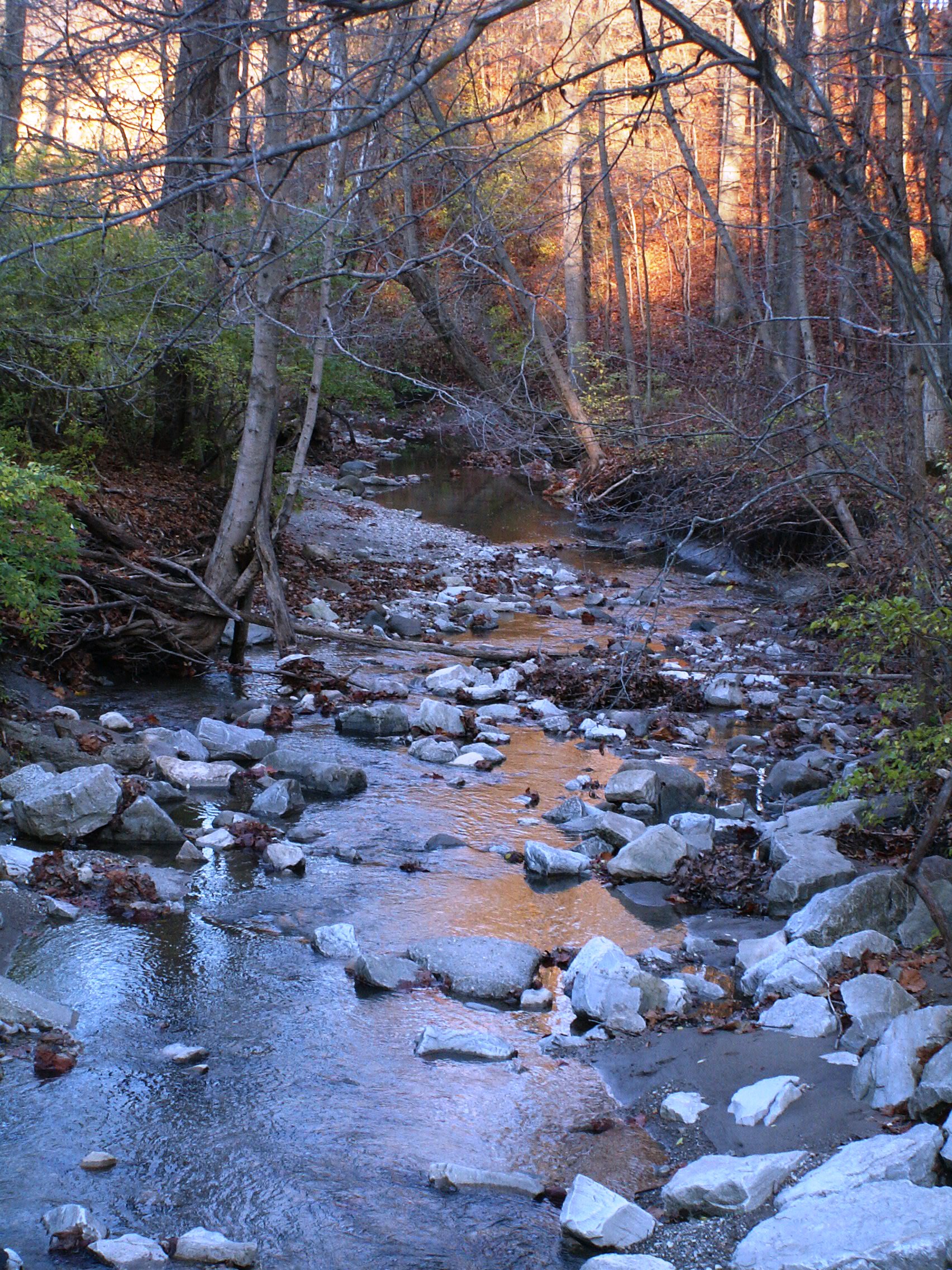 pict5240.JPG