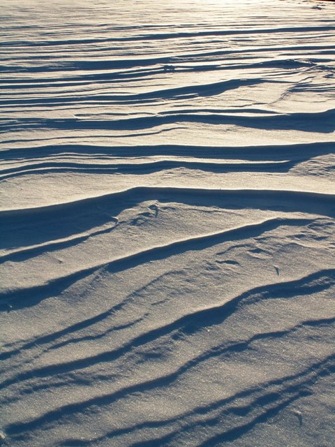 snowdrift.JPG