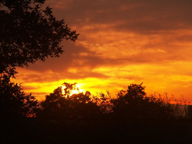 summersunset.JPG