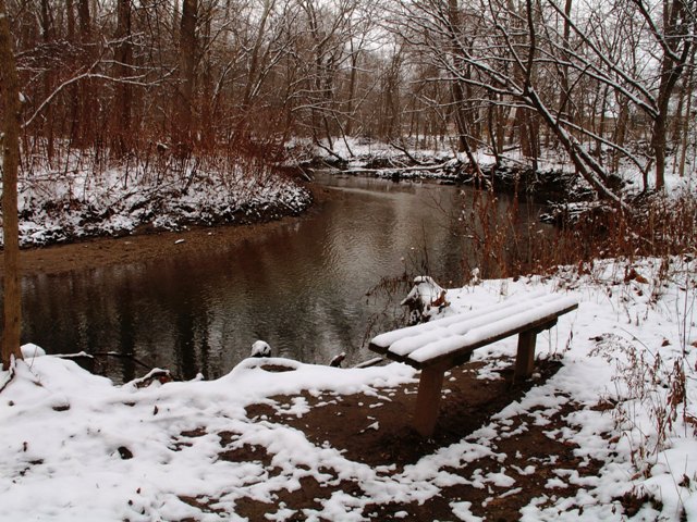 winterfwp4.JPG