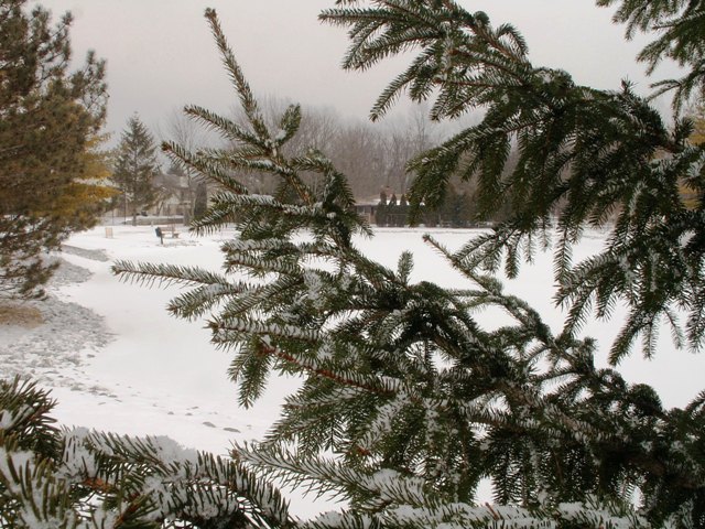winterport10-10.JPG